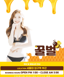 휴게텔-서울 서울대 꿀벌 야맵