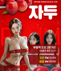 휴게텔-인천/경기 인천 체리 야맵