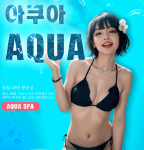 스파건마-서울 강남 아쿠아스파 야맵